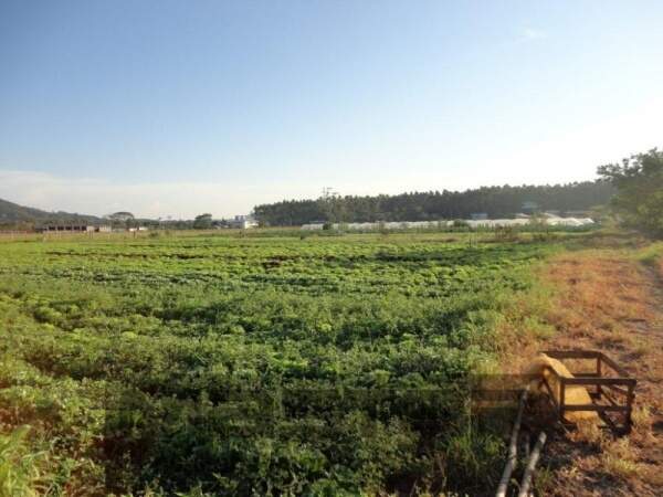 Imagem Terreno / Lote à venda, Itapocu - Araquari/SC