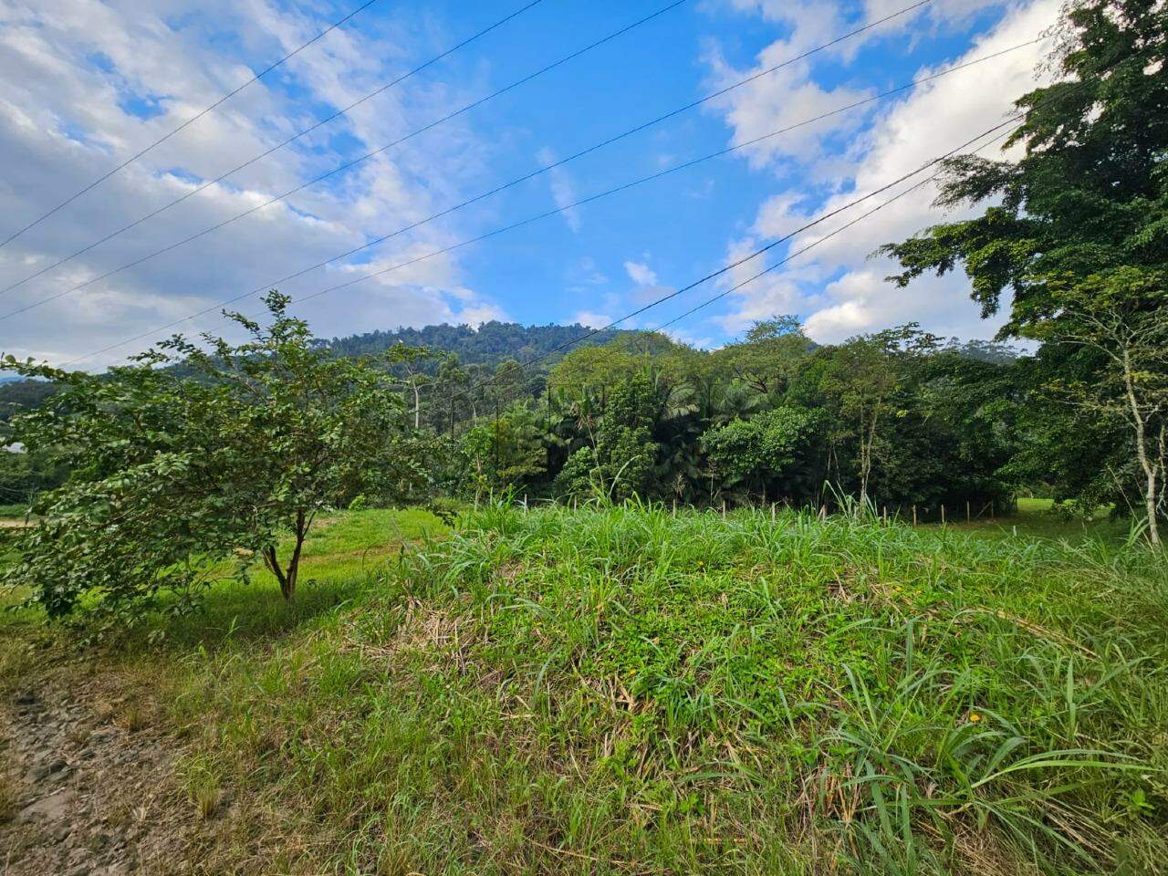 Imagem Terreno com área total de 143.447,14 m², edificado com um galpão industrial de 3.600 m² na Estrada Nova em Jaraguá do Sul