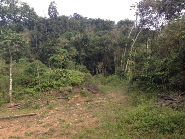 Terreno / Lote à venda, Amizade - Jaraguá do Sul/SC