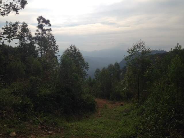 Imagem Terreno / Lote à venda, Amizade - Jaraguá do Sul/SC