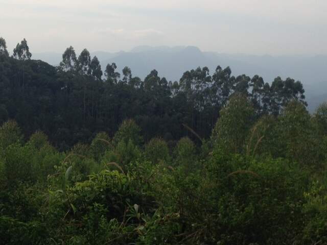 Imagem Terreno / Lote à venda, Amizade - Jaraguá do Sul/SC