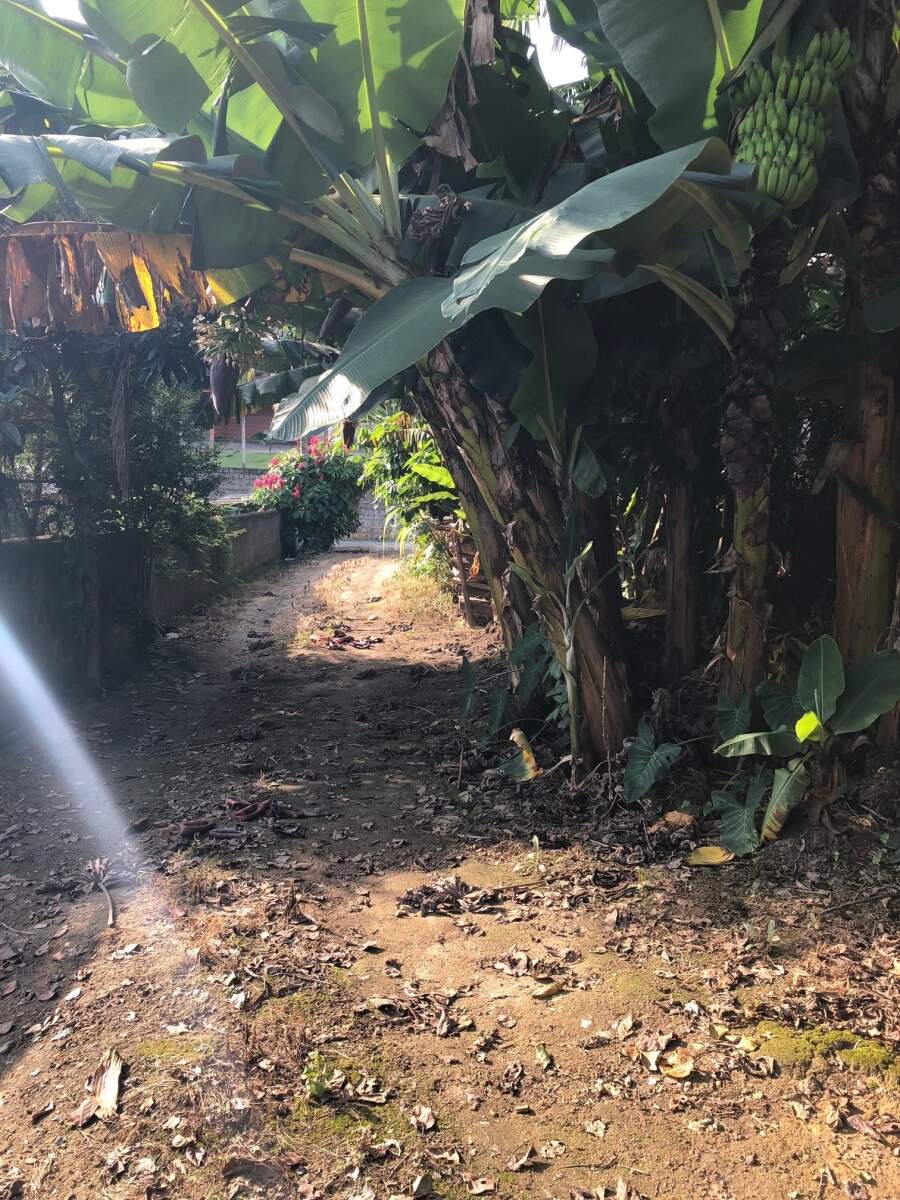 Imagem Terreno / Lote à venda, Centro - Jaraguá do Sul/SC
