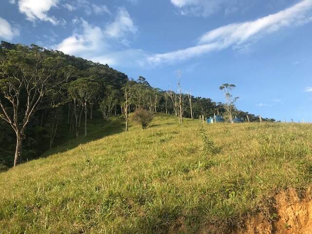 Imagem Chácara / Sítio à venda, 2 quartos, Três Rios do Norte - Jaraguá do Sul/SC