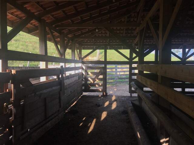 Imagem Chácara / Sítio à venda, 2 quartos, Três Rios do Norte - Jaraguá do Sul/SC