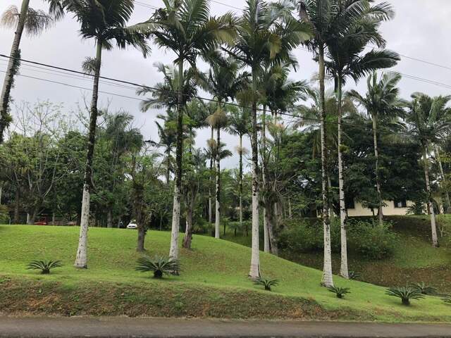 Imagem Terreno / Lote à venda, 2 vagas, Chico de Paulo - Jaraguá do Sul/SC