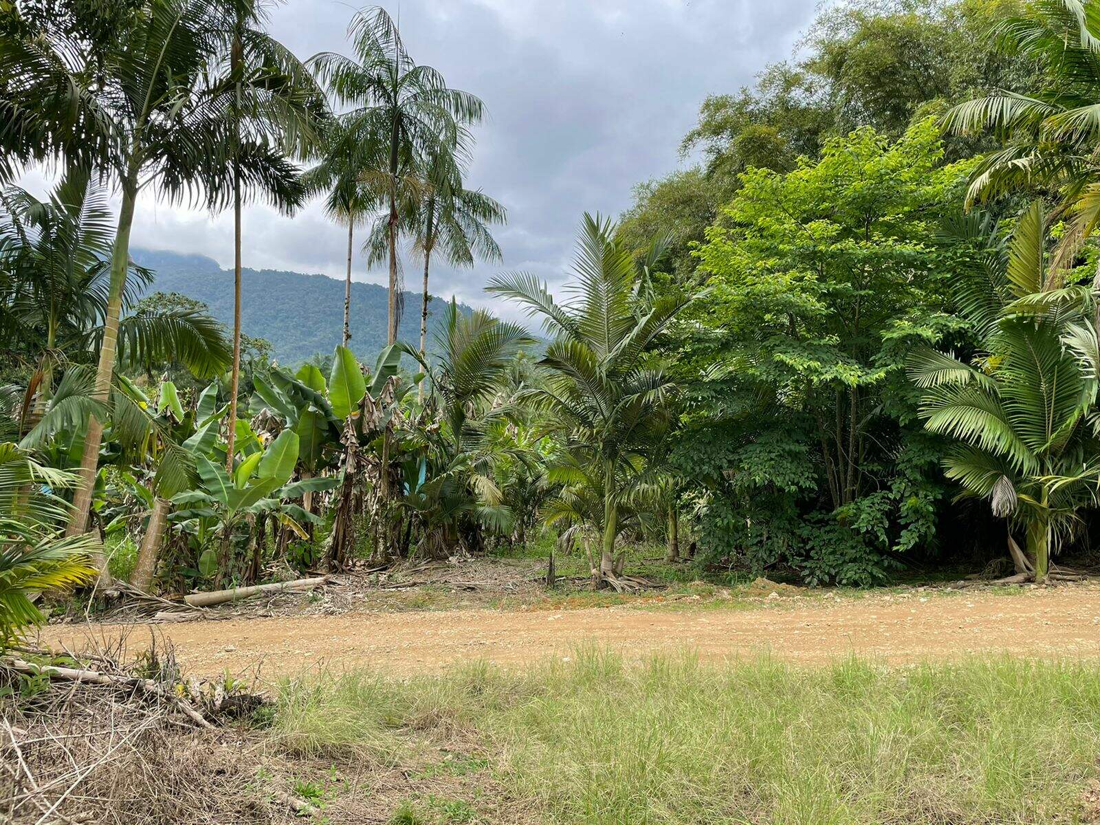 Imagem Terreno / Lote à venda, Garibaldi - Jaraguá do Sul/SC