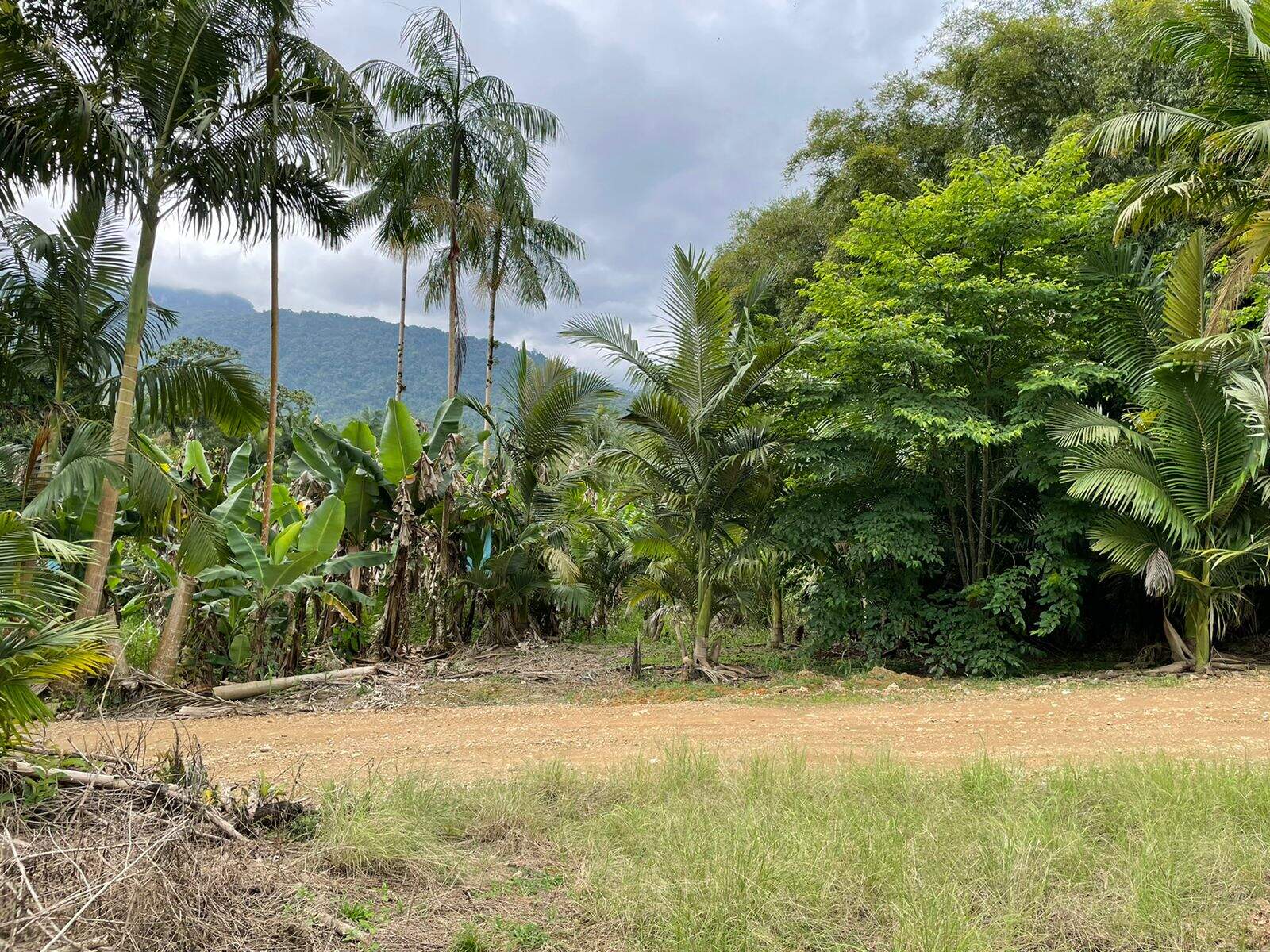 Imagem Terreno / Lote à venda, Garibaldi - Jaraguá do Sul/SC