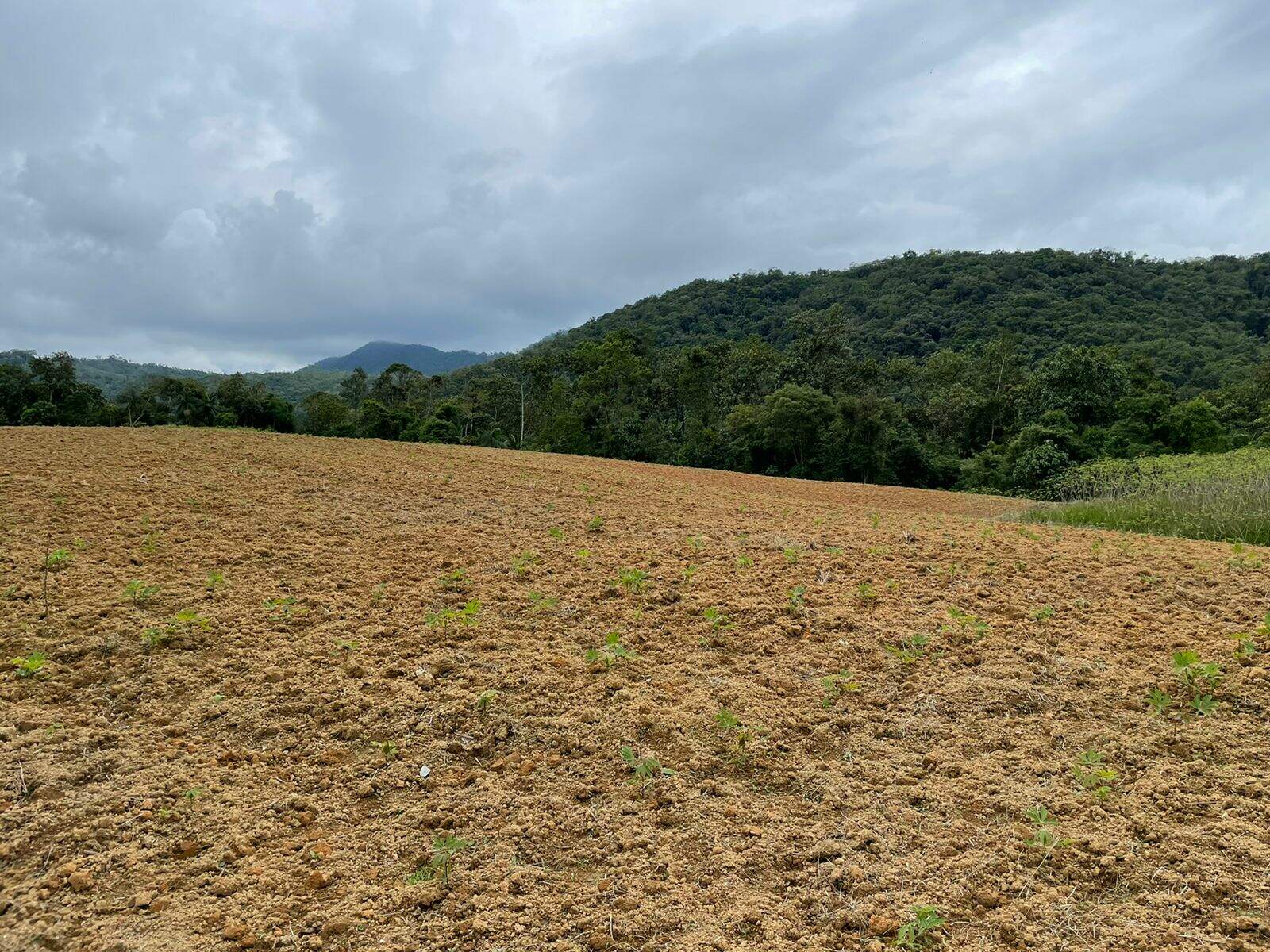 Imagem Terreno / Lote à venda, Garibaldi - Jaraguá do Sul/SC