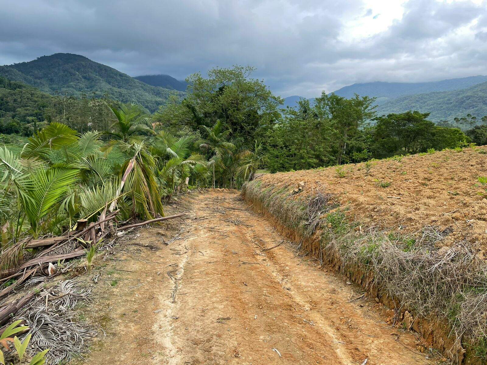 Imagem Terreno / Lote à venda, Garibaldi - Jaraguá do Sul/SC