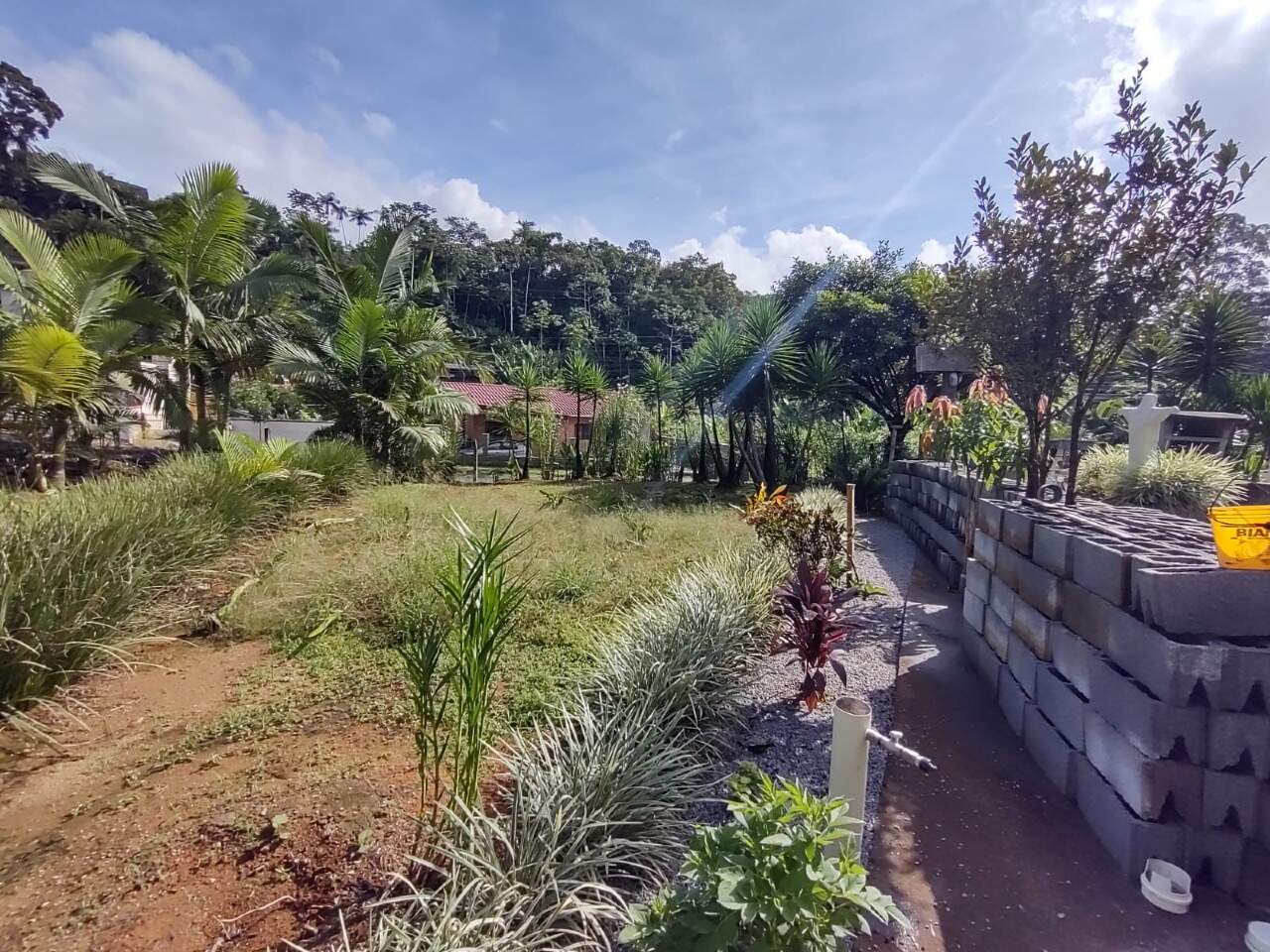Imagem Casa à venda, 2 quartos, 1 suíte, 2 vagas, Ilha da Figueira - Jaraguá do Sul/SC