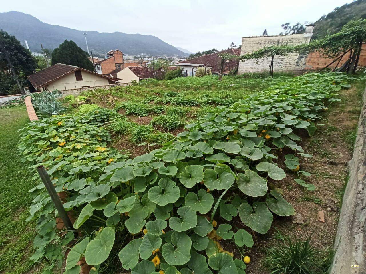 Imagem Terreno à venda no Bairro Ilha da Figueira em Jaraguá do Sul com 1.120,50 m²