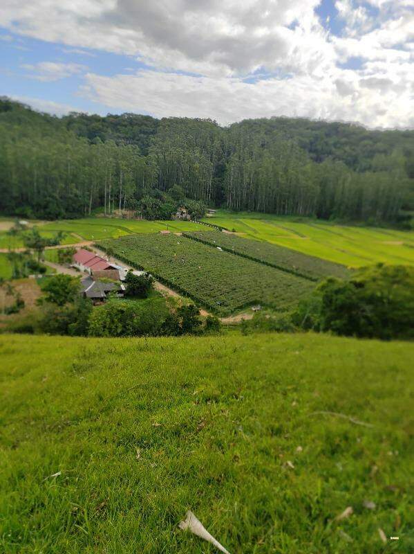 Imagem Chácara / Sítio à venda, 3 quartos, 2 vagas, RIBEIRAO SAO PAULO - Ascurra/SC