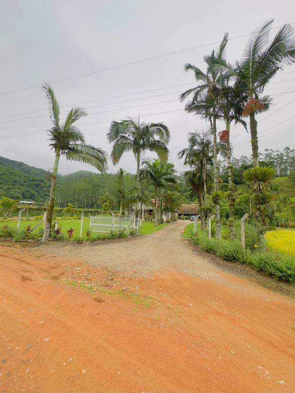 Chácara / Sítio à venda, 3 quartos, 2 vagas, RIBEIRAO SAO PAULO - Ascurra/SC