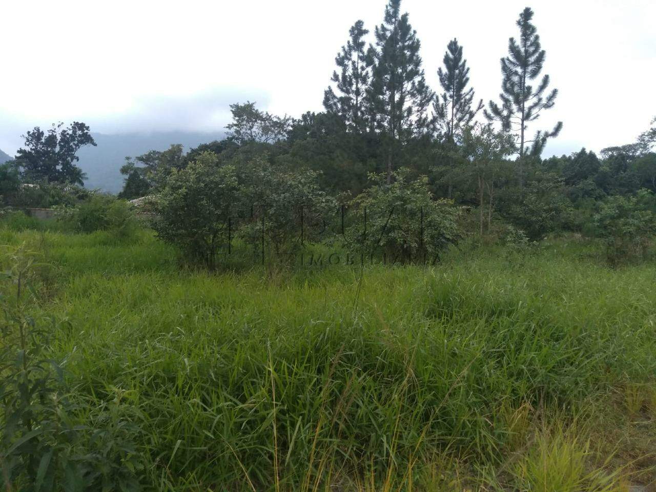 Imagem Terreno / Lote à venda, Rio Cerro II - Jaraguá do Sul/SC