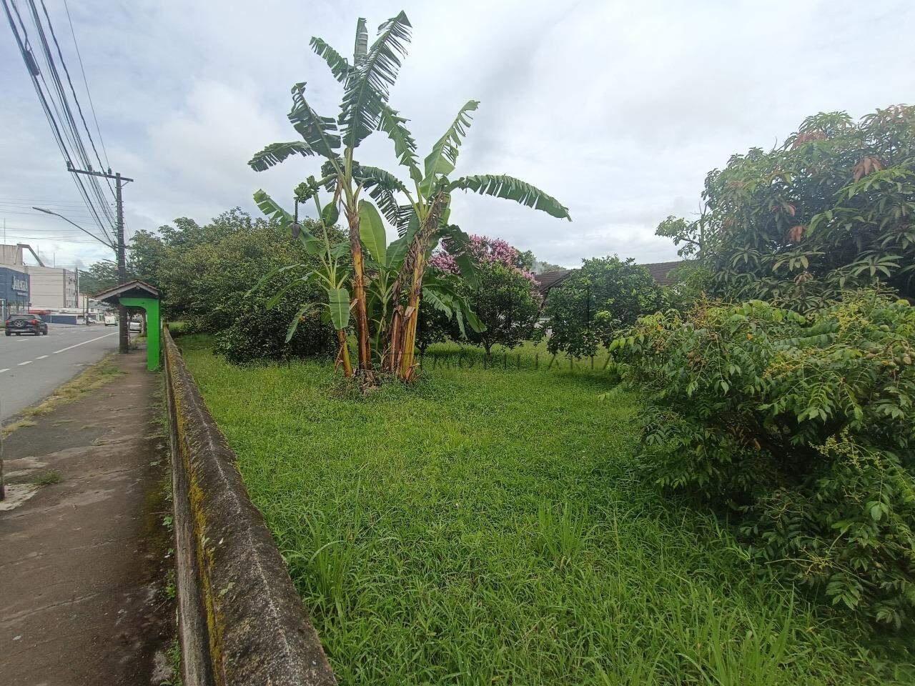 Imagem Terreno / Lote à venda, Vila Lenzi - Jaraguá do Sul/SC