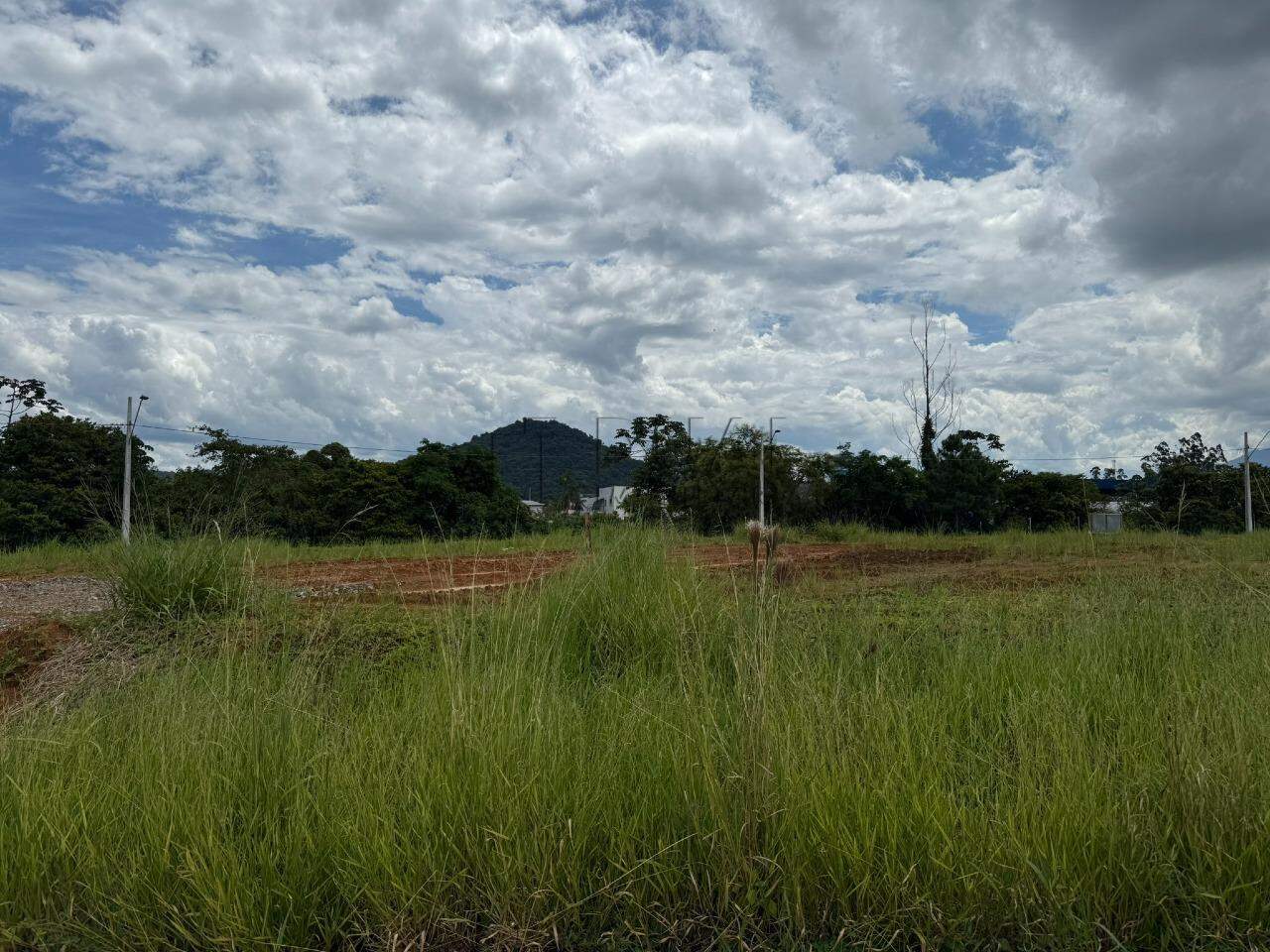 Imagem Terreno / Lote à venda, Amizade - Jaraguá do Sul/SC
