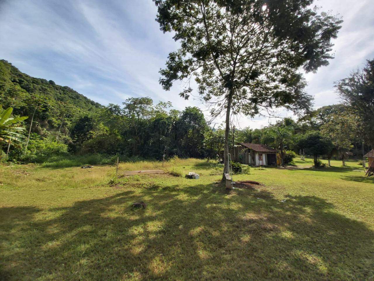 Imagem Chácara / Sítio à venda, 2 quartos, Nereu Ramos - Jaraguá do Sul/SC