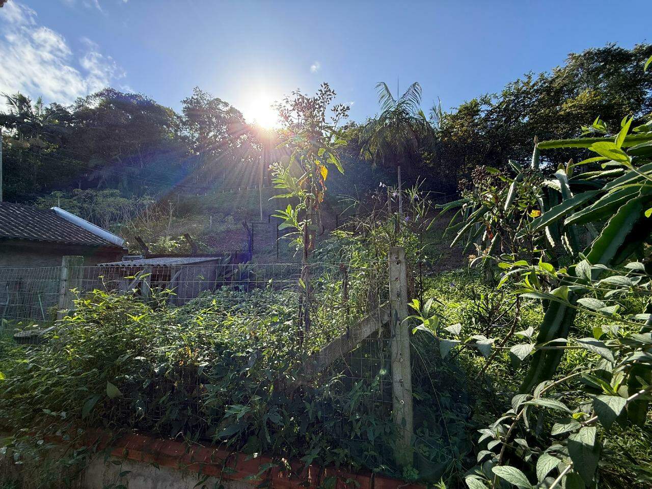 Imagem Excelente opção para investimento no bairro São Luis