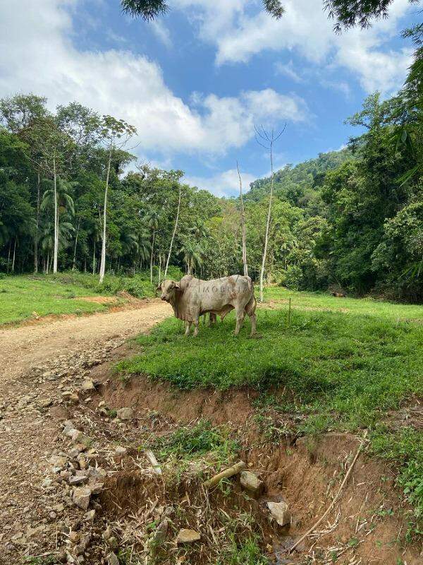 Imagem Chácara com 20000m² em Condomínio Rural no Garibaldi em Jaraguá do Sul