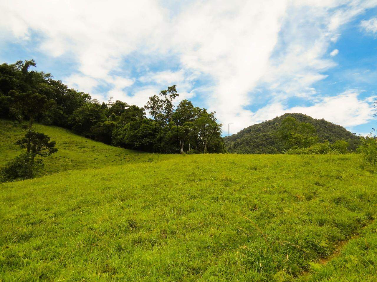 Imagem Chácara com 20000m² em Condomínio Rural no Garibaldi em Jaraguá do Sul