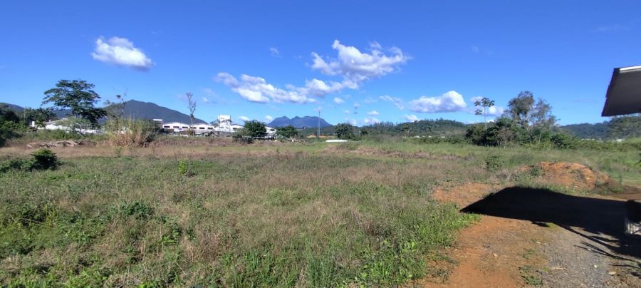 Área de 9.400m² no Três Rios do Norte: Perfeito para Lotes