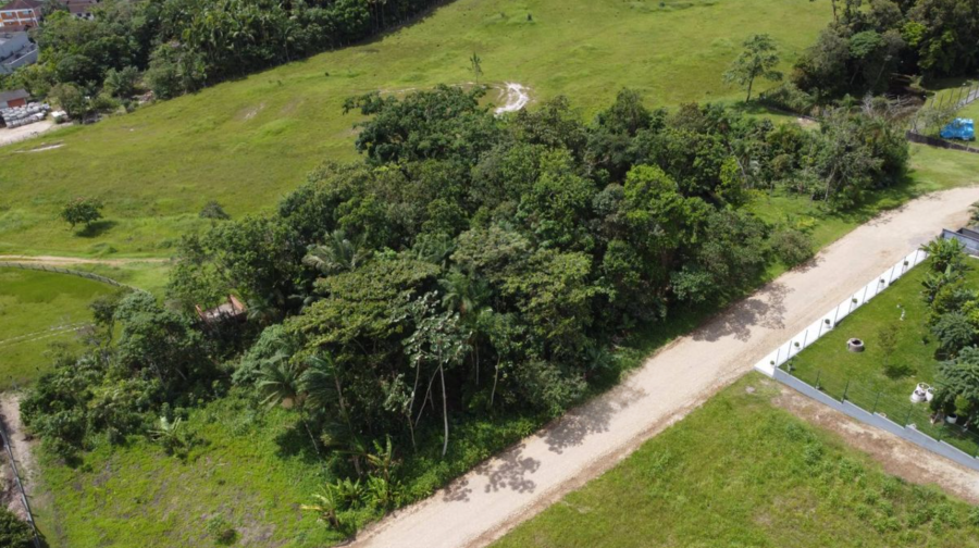 Terreno Central de 1505m² em Schroeder: Aceita Permuta