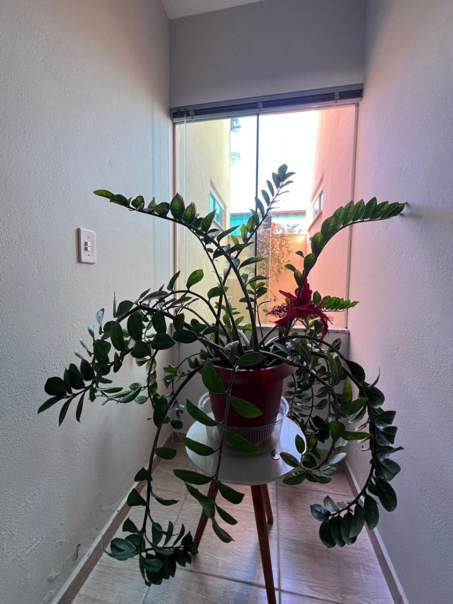 Imagem Casa  com 3 Dormitórios à Venda
