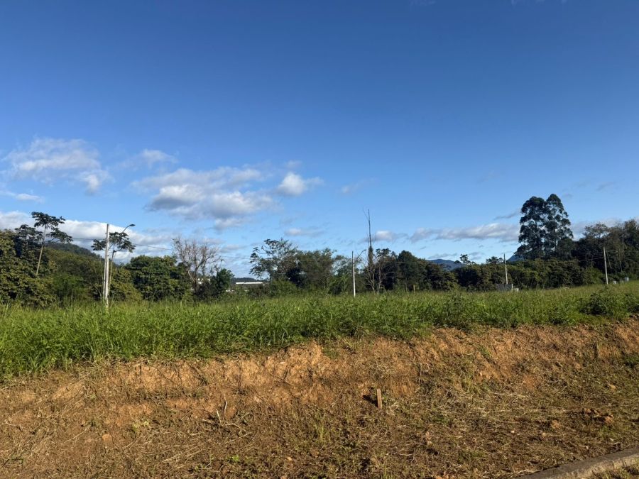 Imagem Terreno / Lote à venda, Amizade - Jaraguá do Sul/SC