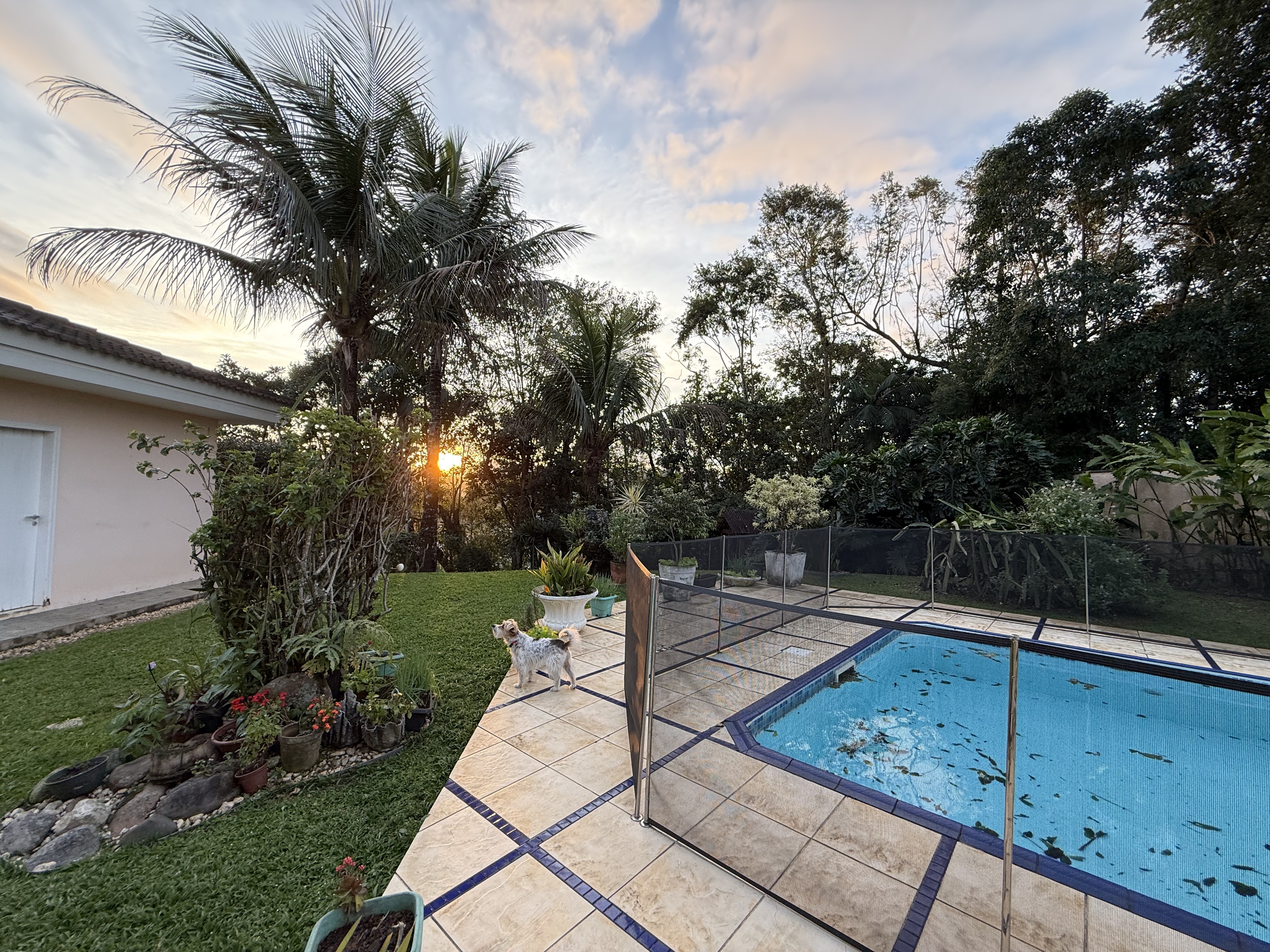 Imagem Casa à venda em Jaraguá do Sul (Jaraguá Esquerdo) | 1 suíte, 4 quartos, 2 vagas