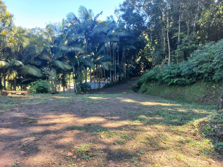 Imagem Chacará com 30.000m² à venda no bairro Rio Hern em Schroeder
