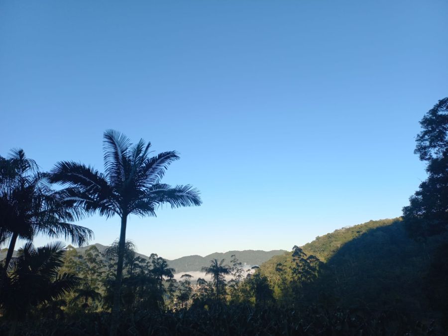 Imagem Chacará com 30.000m² à venda no bairro Rio Hern em Schroeder