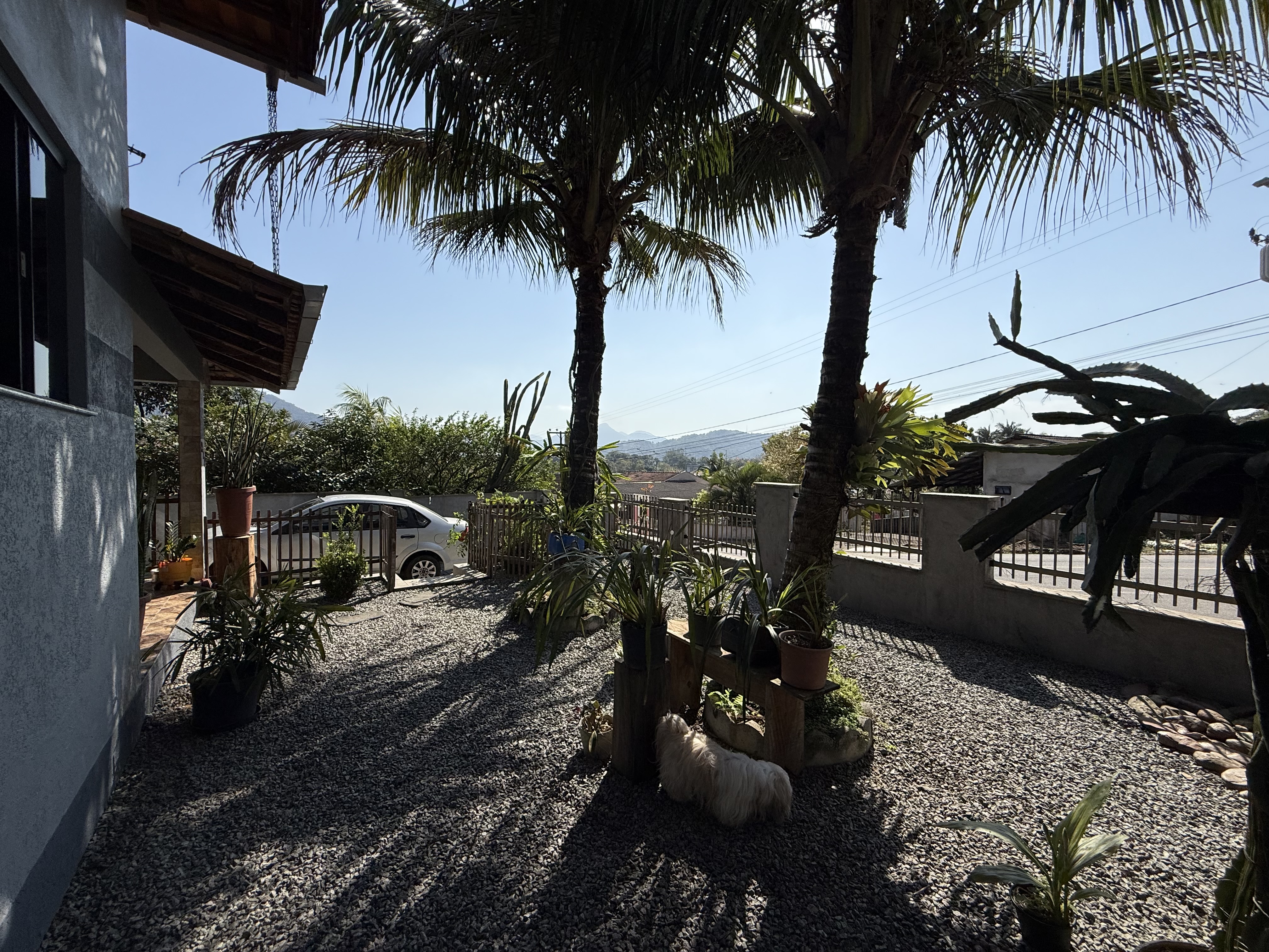 Imagem Casa no bairro Ilha da Figueira com 3 dormitórios e amplo quintal